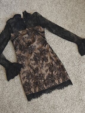 Cider Black Lace Long Sleeve Sheath Dress with Beige Underlay